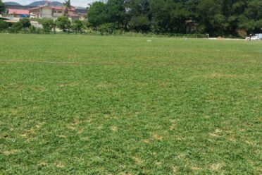 A well-maintained football field with lush, green turf grass, providing an ideal surface for playing and competition.