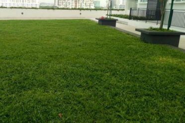 A beautifully landscaped backyard featuring a manicured lawn, flower beds, and a stone pathway leading to a cozy seating area.