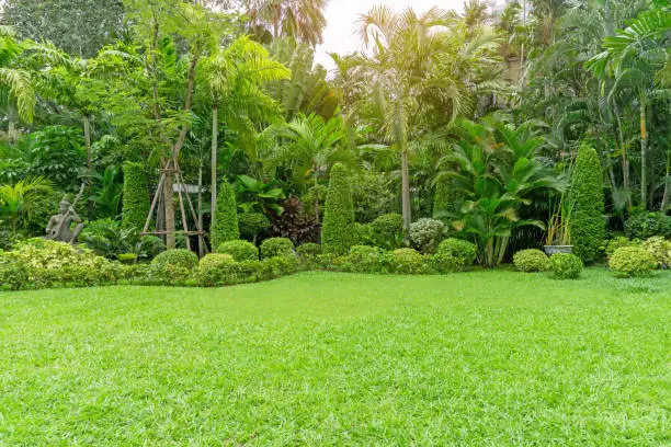 A wide view of a lush Philippine turf grass field, ideal for sports and recreational activities, showcasing its green and vibrant appearance.