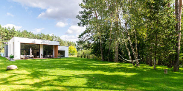 Spacious backyard next to a forest with green lawn of a modern private house. green cow grass lawn with modern private house