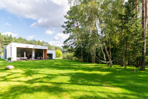 green cow grass lawn with modern private house