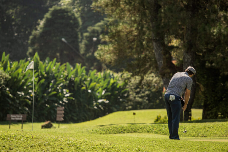 Golfer on cow grass field in Malaysia