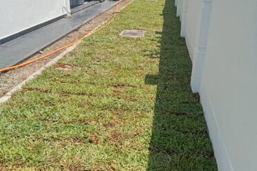 A narrow strip of newly installed turf grass (sod) running between a white house wall and a white perimeter fence in a residential side yard.