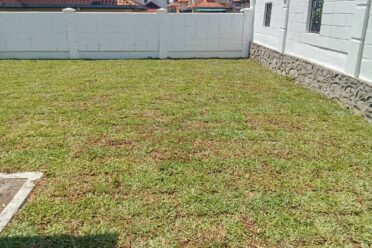 A rectangular backyard area completely covered with new turf grass (sod), enclosed by white brick walls with a stone-clad base on one side.