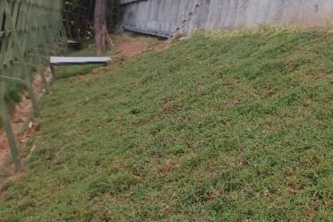 An earthen slope covered with partially established turf grass for erosion control, bordered by a concrete retaining wall and a green metal fence.