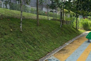 Turf grass installed on a landscaped slope with young trees, bordered by a surface drainage channel and a painted walking path in an urban setting.