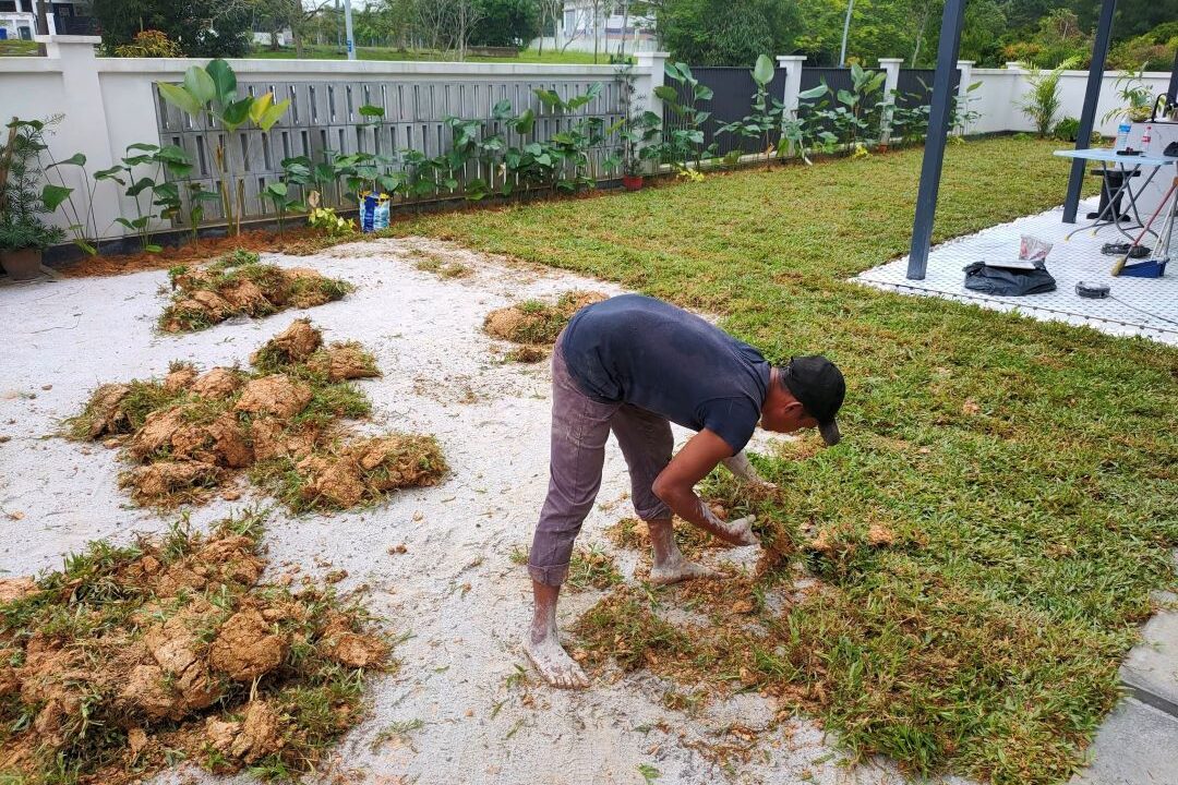A worker bent over, arranging and pressing down pieces of turf grass (sod) onto a prepared grey gravel/soil area in a residential backyard, with piles of sod visible nearby.