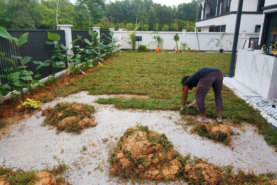 A worker laying turf grass sod in a residential backyard, showing the process of new lawn installation next to a modern house.