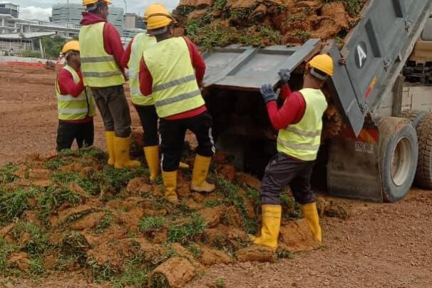 Several construction workers wearing yellow vests, yellow boots, and yellow hard hats manually push turf grass (sod) out of the raised bed of a dump truck onto a bare dirt construction site.