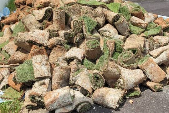 A massive pile of rolls of freshly harvested turf grass (sod) placed on asphalt pavement next to a white industrial building, ready for installation.