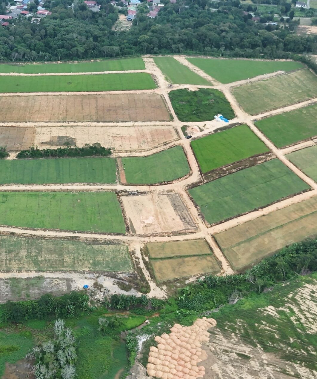 Hydroseeding grass Malaysia