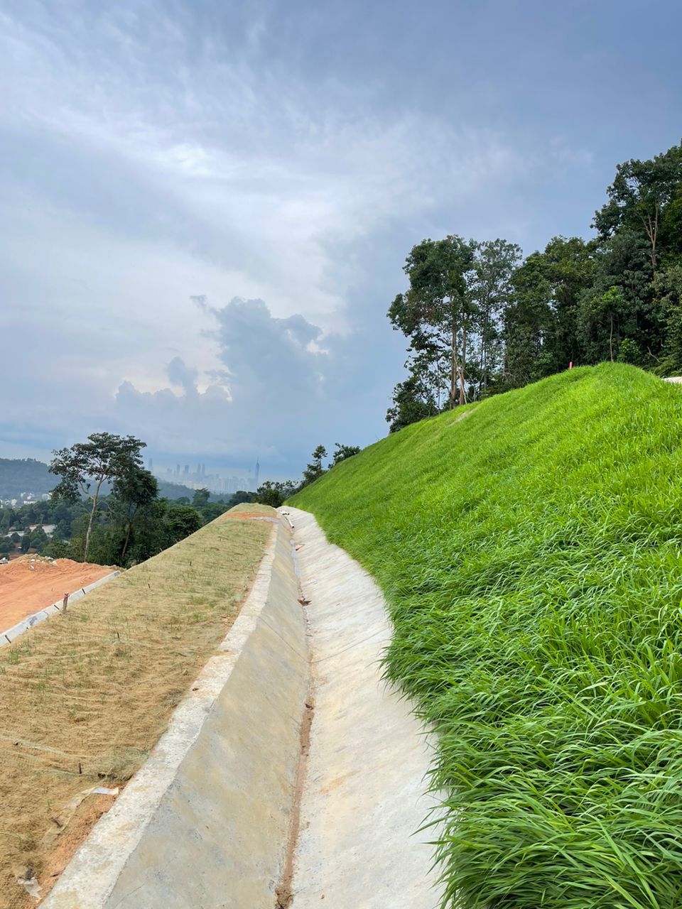hydroseeding