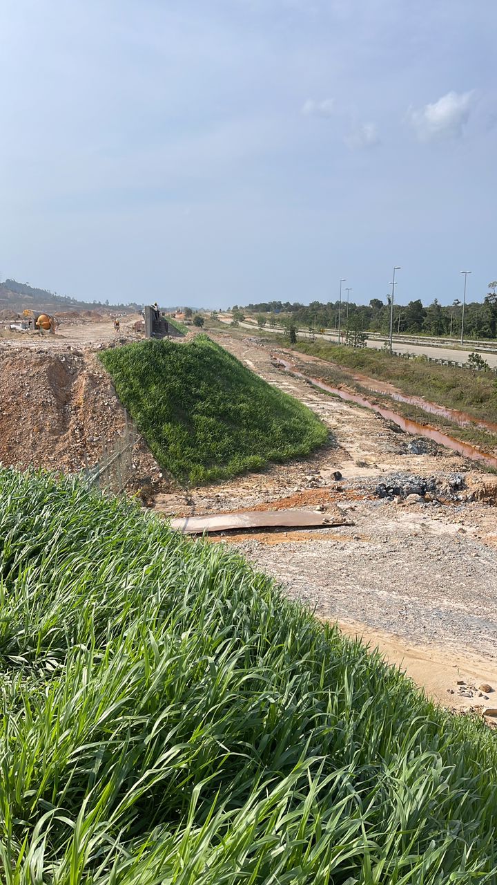 hydroseeding2